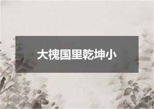 大槐国里乾坤小