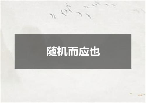 随机而应也