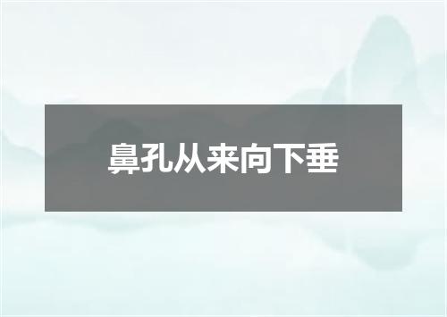 鼻孔从来向下垂