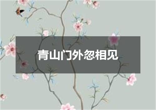 青山门外忽相见