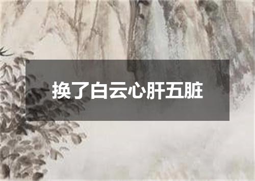 换了白云心肝五脏