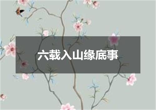 六载入山缘底事