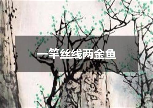 一竿丝线两金鱼