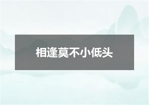 相逢莫不小低头