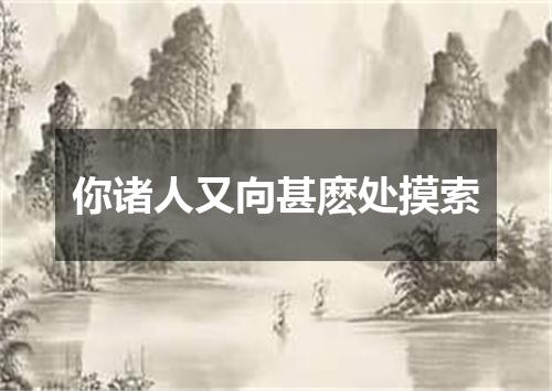 你诸人又向甚麽处摸索