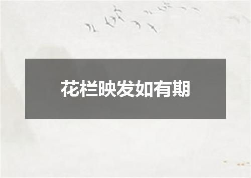 花栏映发如有期