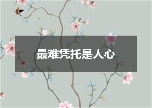 最难凭托是人心