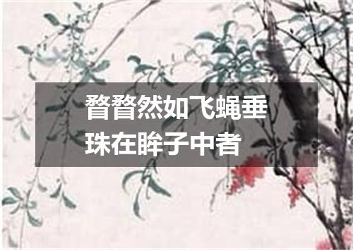 瞀瞀然如飞蝇垂珠在眸子中者