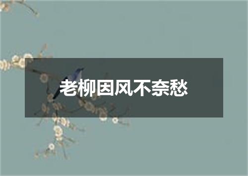 老柳因风不奈愁