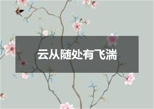 云从随处有飞湍
