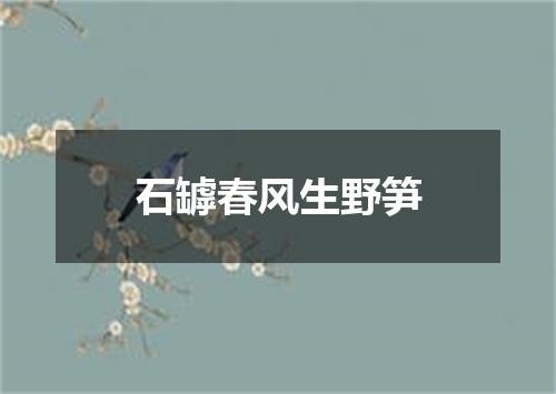 石罅春风生野笋
