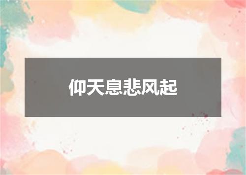 仰天息悲风起