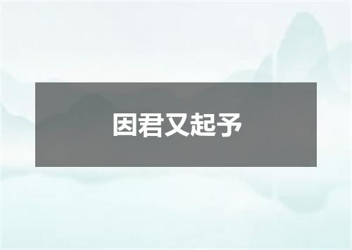 因君又起予