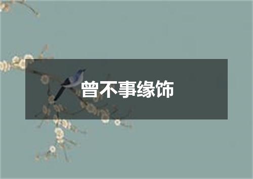 曾不事缘饰