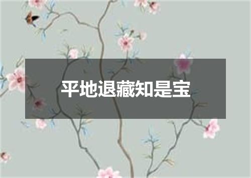 平地退藏知是宝