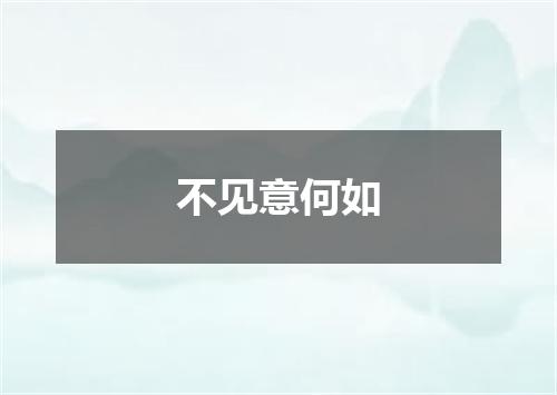 不见意何如