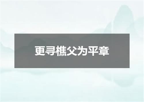 更寻樵父为平章