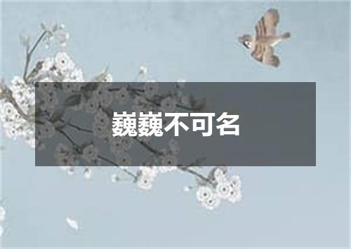 巍巍不可名