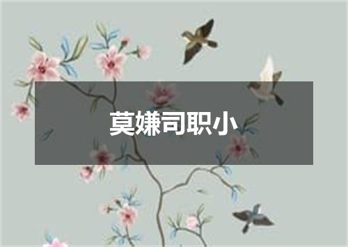 莫嫌司职小