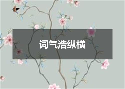 词气浩纵横