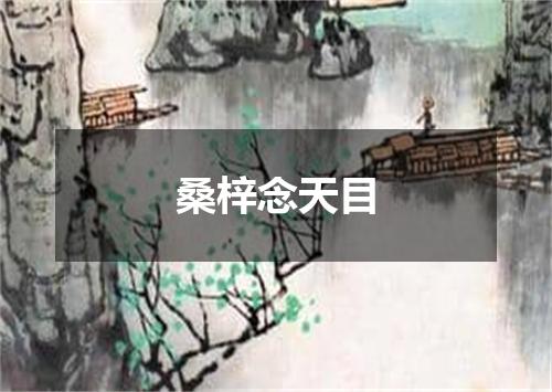 桑梓念天目