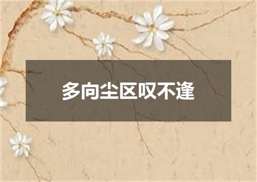 多向尘区叹不逢