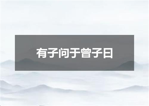有子问于曾子曰