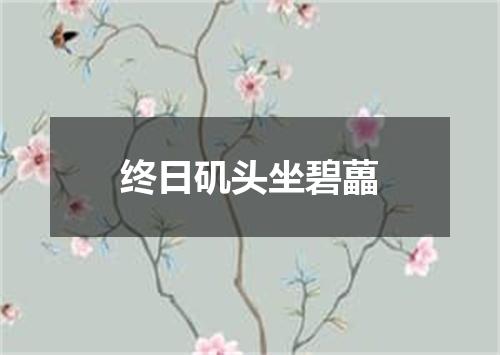 终日矶头坐碧藟
