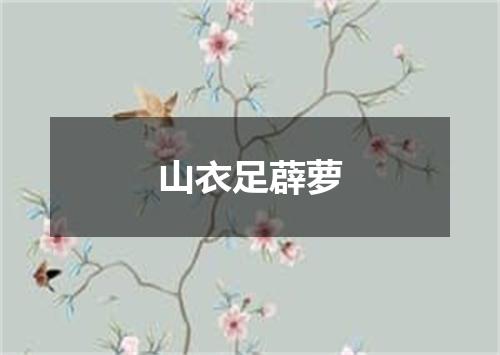 山衣足薜萝