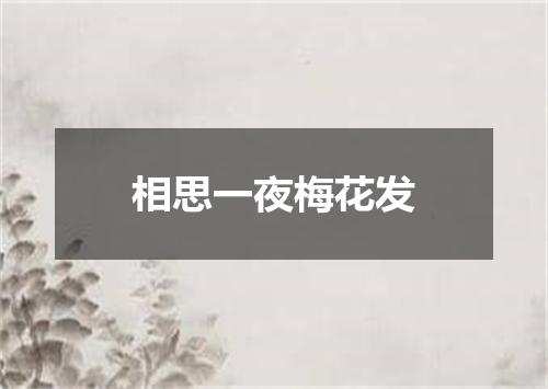 相思一夜梅花发