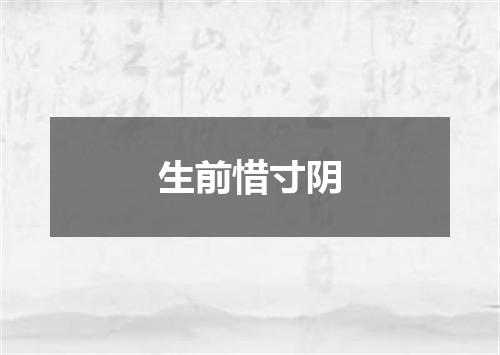 生前惜寸阴