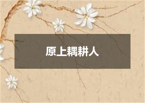 原上耦耕人