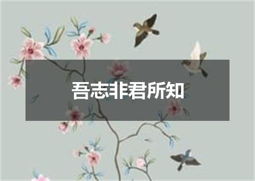 吾志非君所知