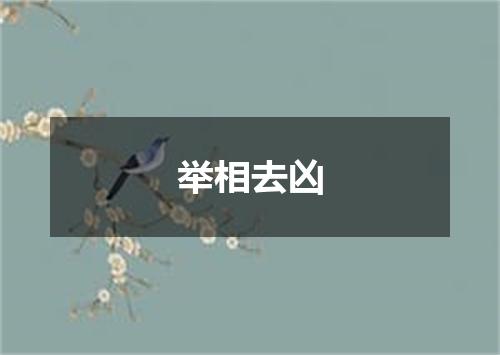 举相去凶