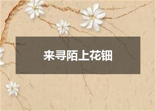 来寻陌上花钿