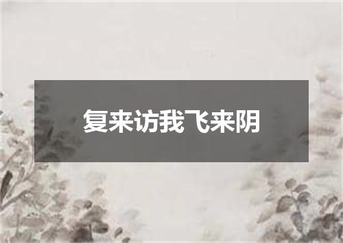 复来访我飞来阴