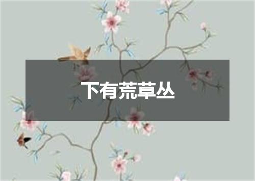 下有荒草丛