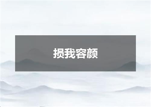 损我容颜