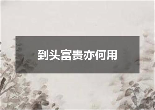 到头富贵亦何用