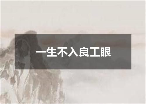 一生不入良工眼