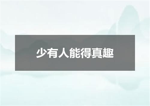 少有人能得真趣