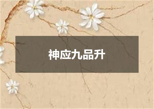 神应九品升