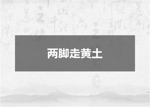 两脚走黄土