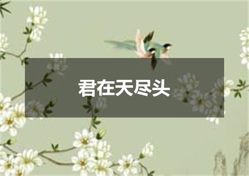 君在天尽头