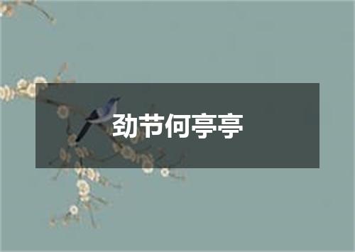 劲节何亭亭