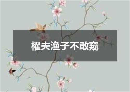 櫂夫渔子不敢窥