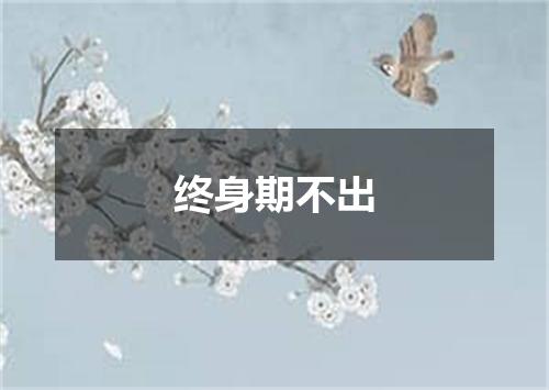 终身期不出
