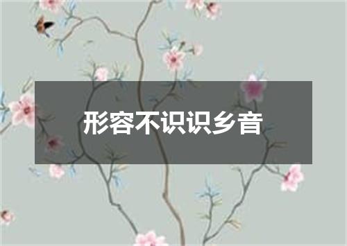 形容不识识乡音