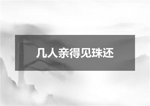 几人亲得见珠还