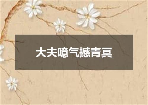 大夫噫气撼青冥